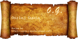 Oszlej Gyula névjegykártya